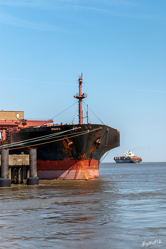 Hafenrundfahrt
Ausfahrt aus dem Amerikahafen.
Beim Amerikahafen handelt es sich einen Mehrzweckhafen mit Umschlag- und Ausrüstungskais für Stückgut- und kleine Massengutschiffe, Werft mit Schwimmdocks, Tiefkühlhaus, Stückgutschuppen und Freilagerflächen. Dazu dient er als Nothafen. Bis zum Bau der Seeschleuse war er Durchfahrt zum Neuen Fischereihafen. laut cuxpedia
Schlüsselwörter: Cuxhaven