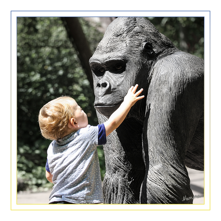 Entdecken
Eine kleine Forscherin
Schlüsselwörter: Flachlandgorilla, Kind