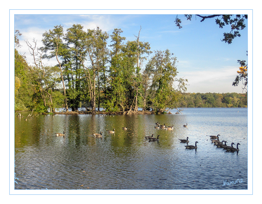 Krickenbecker Seen
Schlüsselwörter: Nettetal,  Krickenbecker Seen