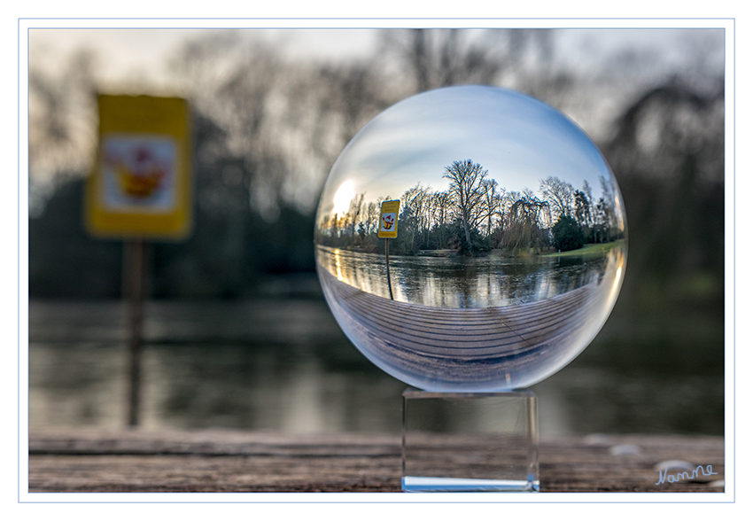 Im Stadtgarten
morgens am Weiher der langsam zufrieren will
Schlüsselwörter: Stadtweiher,  Neuss