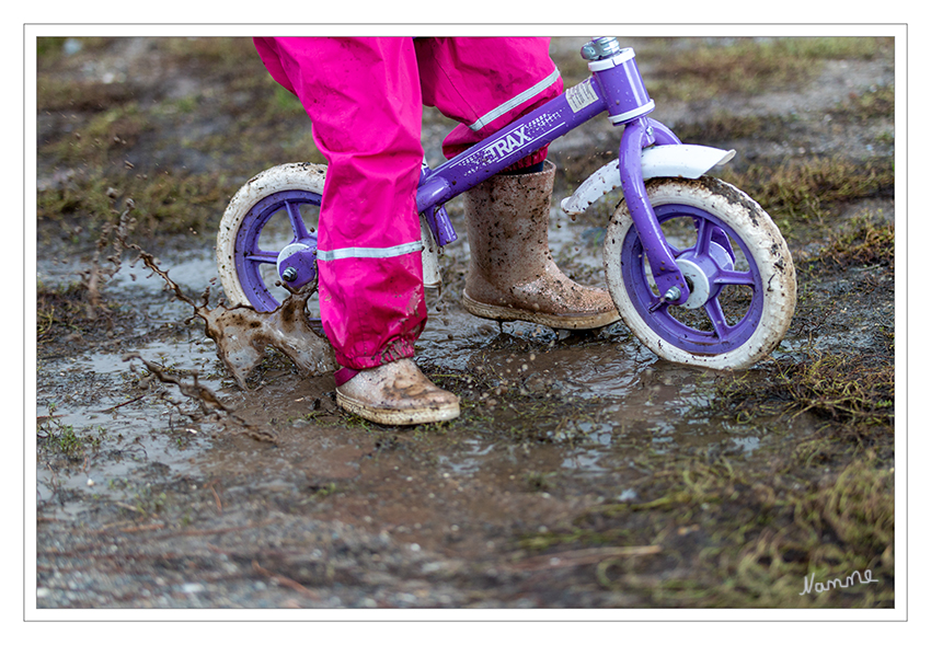 41 - Regenwetter
2019
Schlüsselwörter: Fahrrad; Wasserpfütze