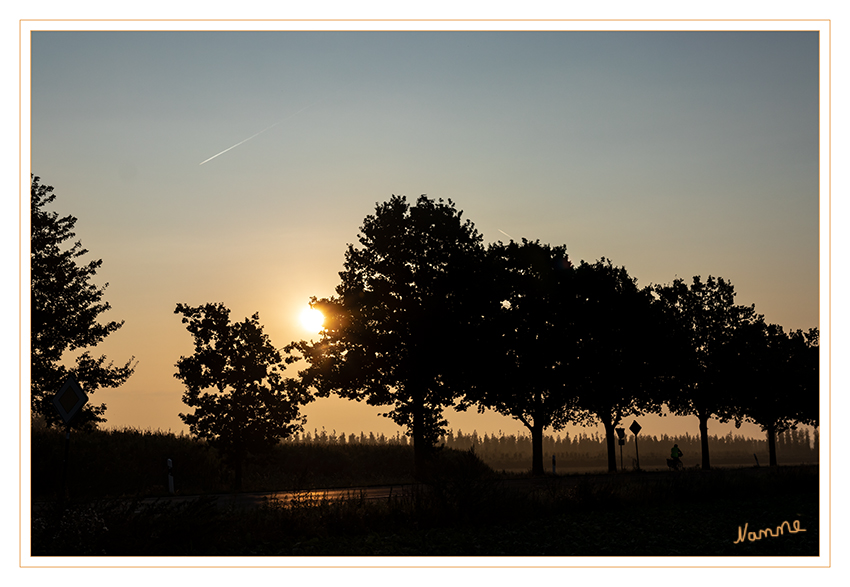 Morgens
Schlüsselwörter: Herbst; Morgens