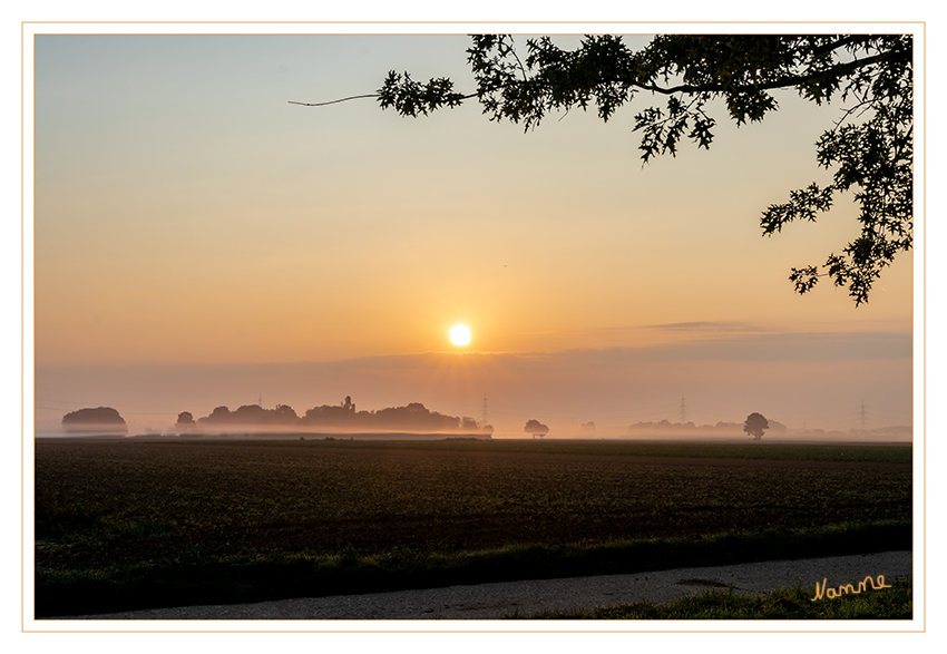 35 - Es wird herbstlich
