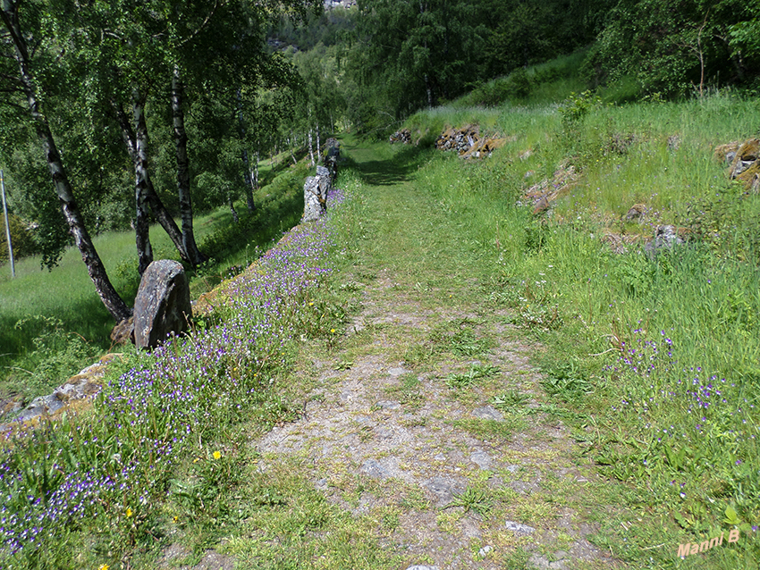 Sognefjellet
Von den grünen Wiesen und der üppigen Kulturlandschaft im Tal Bøverdalen lassen sich die mächtigen Berge in der Ferne erahnen, und langsam steigt die Straße aus dem Tal empor. Es geht immer weiter nach oben bis zum höchsten Punkt auf 1434 m ü.d.M., dem höchsten Gebirgspass Nordeuropas.
laut nasjonaleturistveger.no
Schlüsselwörter: Norwegen, Sognefjellet