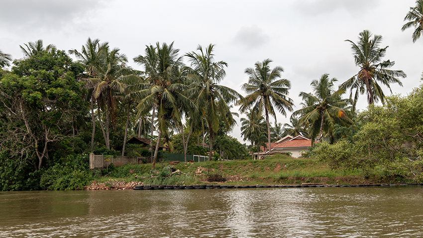 Negombo - Bootstour
auf dem niederländischen Kanal
Schlüsselwörter: Sri Lanka, Negombo