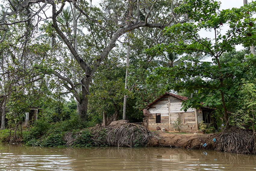 Negombo - Bootstour
auf dem niederländischen Kanal
Schlüsselwörter: Sri Lanka, Negombo