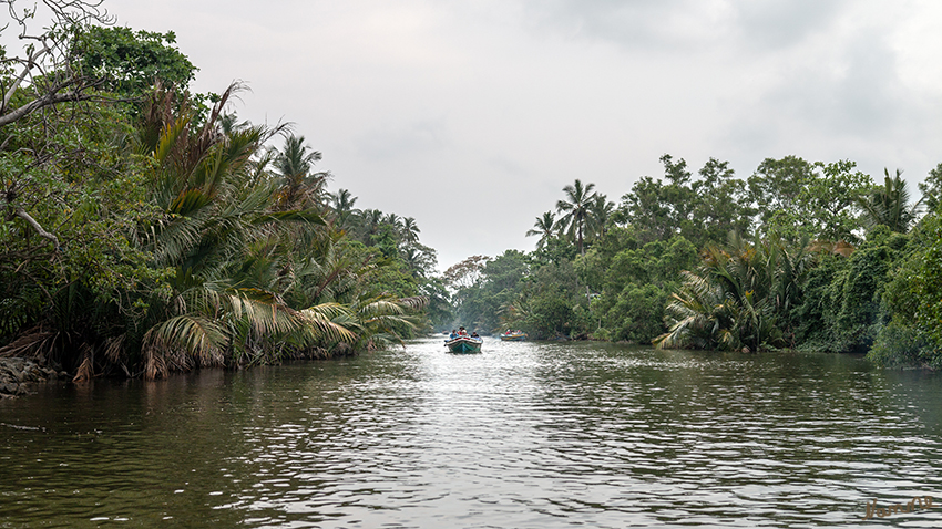 Negombo - Bootstour
auf dem niederländischen Kanal
Schlüsselwörter: Sri Lanka, Negombo