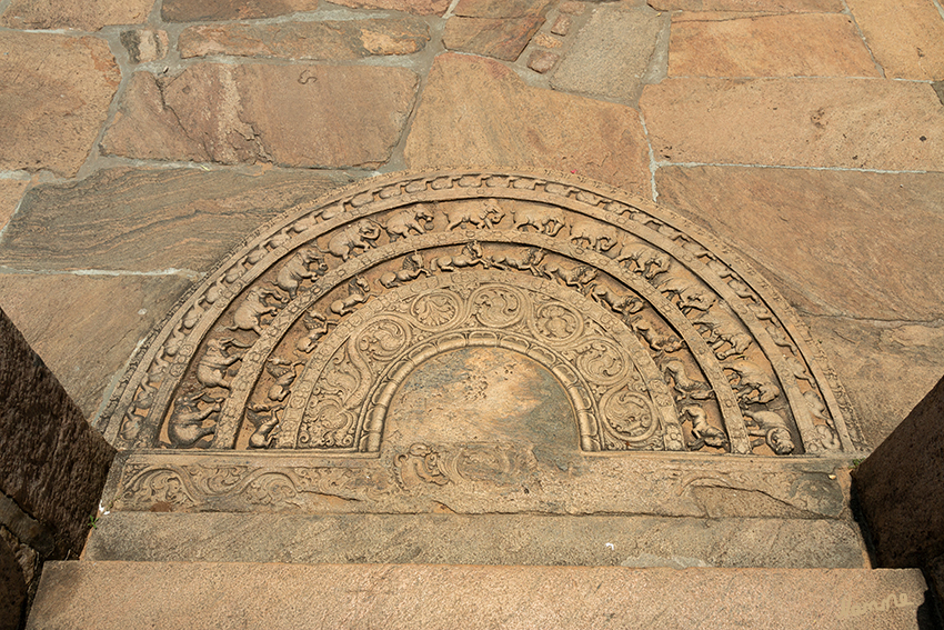 Polonnaruwa - Mondstein
Schlüsselwörter: Sri Lanka,   Polonnurawa,