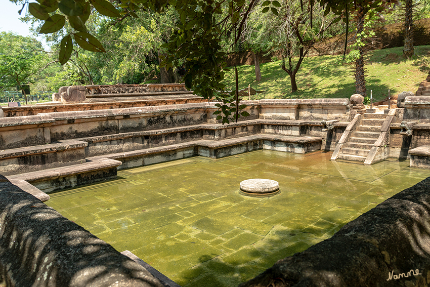 Polonnaruwa - Königlicher Pool
Etwas abseits der Palastgruppe befindet sich ein Pool, der durch ein raffiniertes Kanalsystem natürlich geflutet wird.
Kumara Pokuna (Königliches Bad) wurde während der Zeit des Königs Parakumbahu (1153-1186 n. Chr.) erbaut.
Erstaunlich über was für fortschrittliche Techniken man schon vor über 900 Jahren verfügte. 

Schlüsselwörter: Sri Lanka, Polonnurawa,