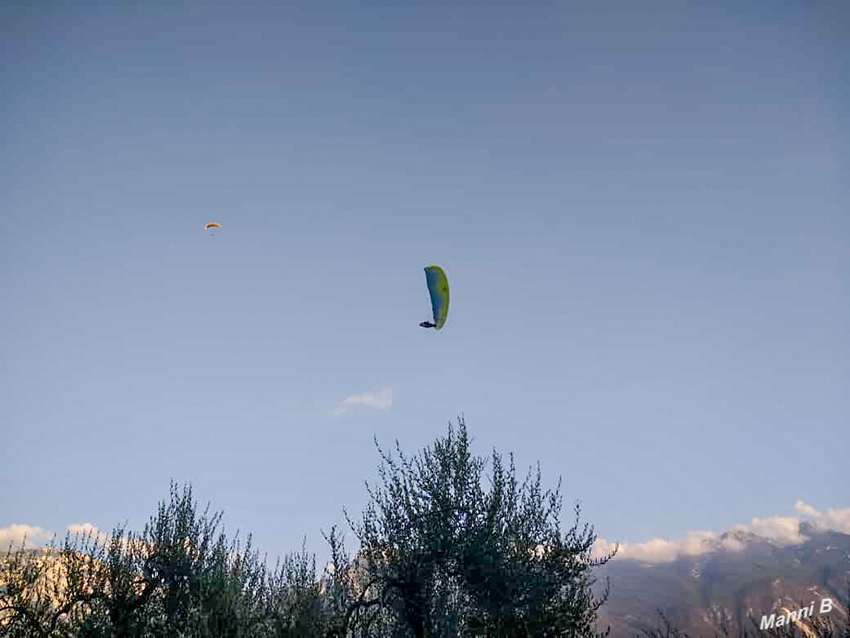 Limone
am Gardasee
Schlüsselwörter: Italien, Limone