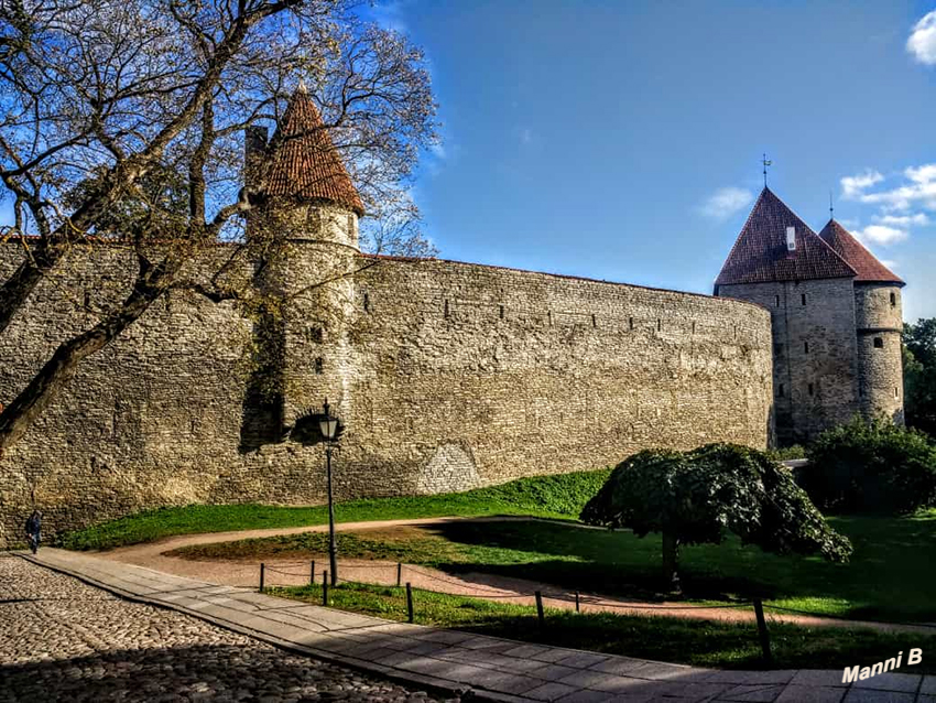 Tallinn
Alte Stadtmauer außen
Schlüsselwörter: e