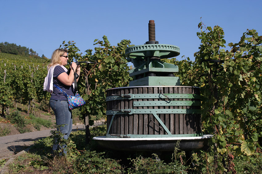 Fotografen
in den Weinbergen
Schlüsselwörter: Bernkastel  Kues,     Mosel,    Fotografen,     Sabina