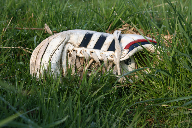 Was kannst du mir erzählen?
min. 100m vom nächsten Weg entfernt.
Und nur ein Schuh......
Schlüsselwörter: Schuh