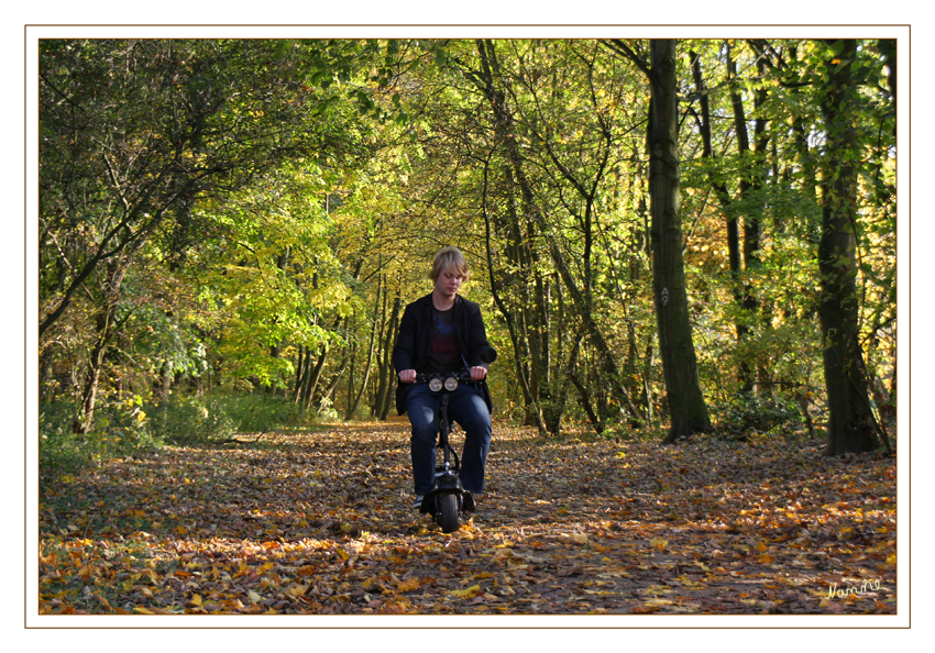 Herbstweg
