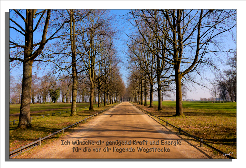 Der Weg
