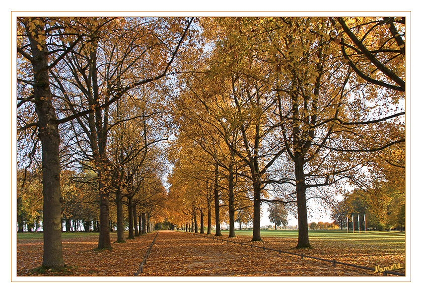  ..Special moments..
Vor dem Herbststurm
Schlüsselwörter: Allee Schloß Dyck