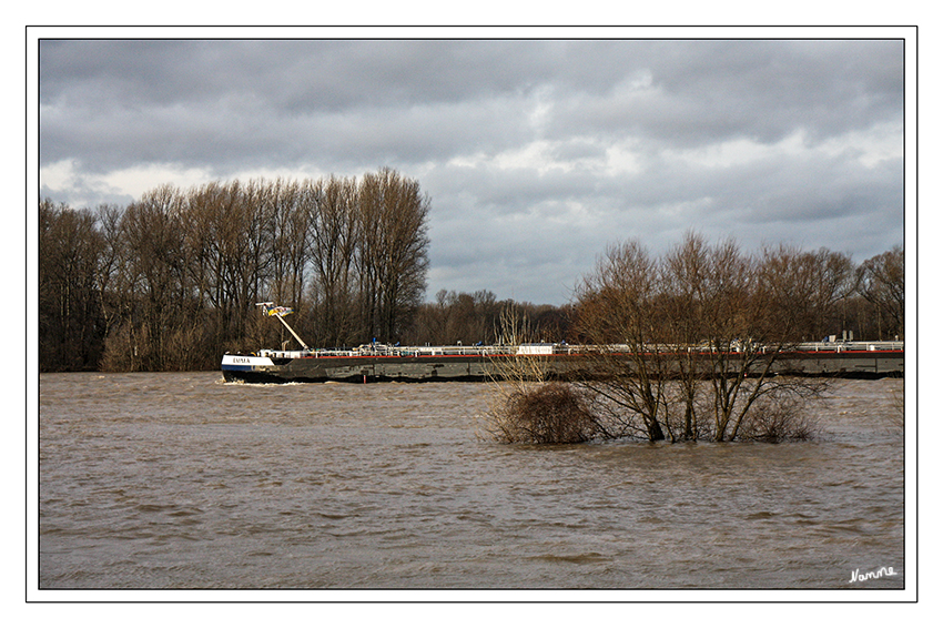 Hochwasser
zum Jahreswechsel
