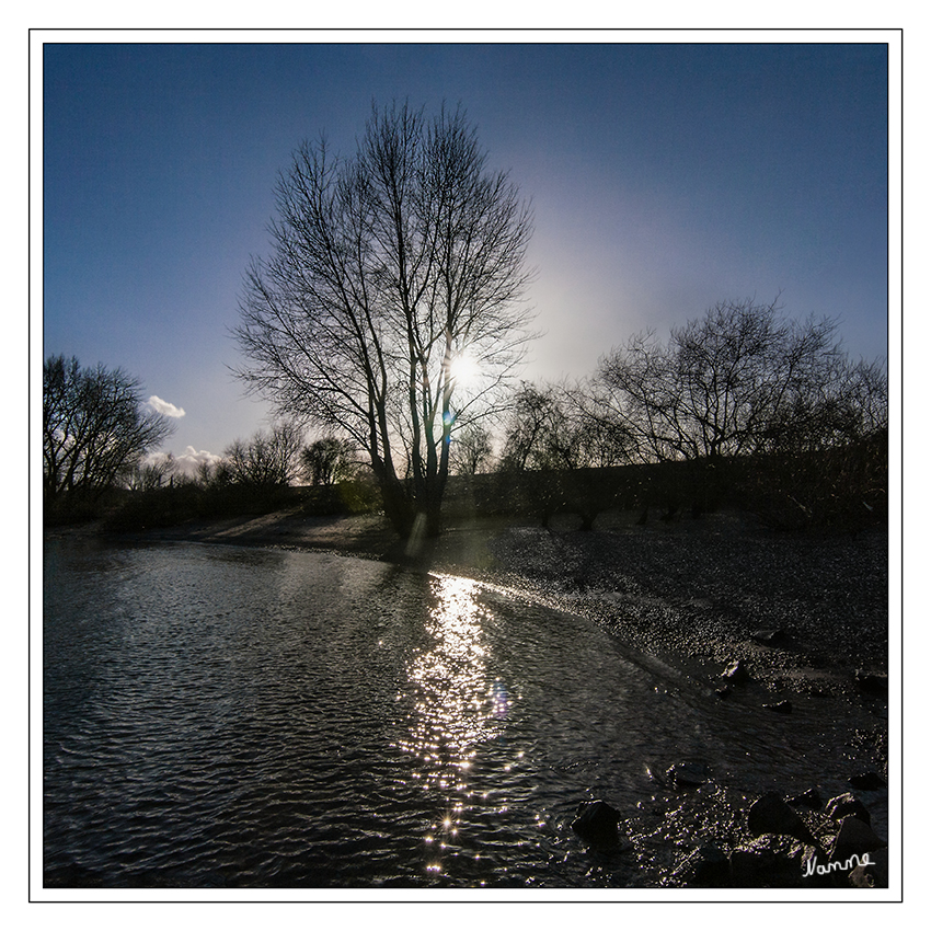 Am Rhein
im Gegenlicht.

Schlüsselwörter: Rhein Gegenlicht