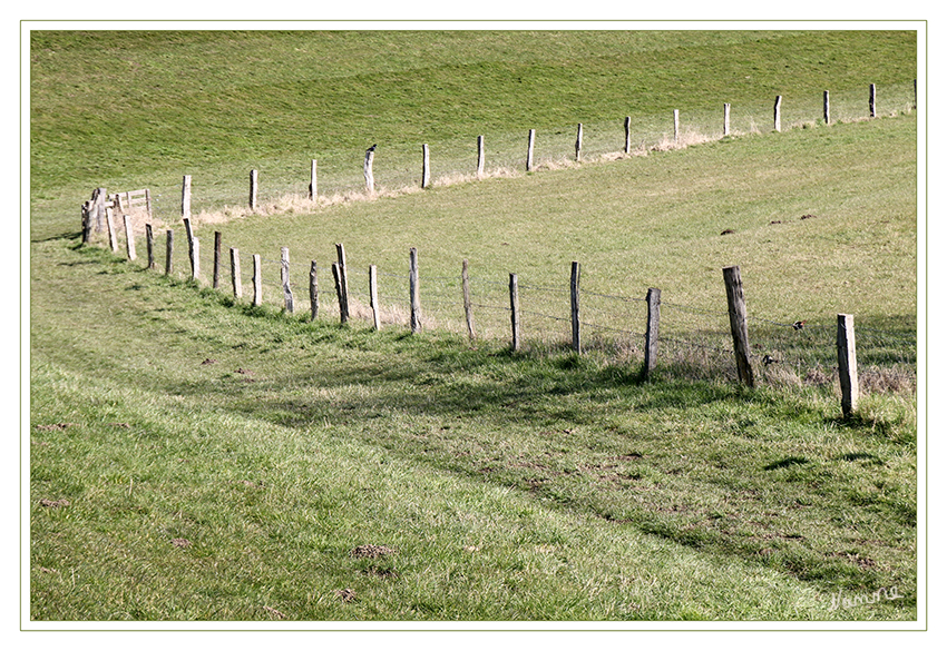 Triangle
In der Natur sind alle Formen vorhanden....
Schlüsselwörter: Weidezaun