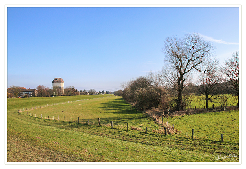 Frühlingsfarben
Schlüsselwörter: Frühlingfarben