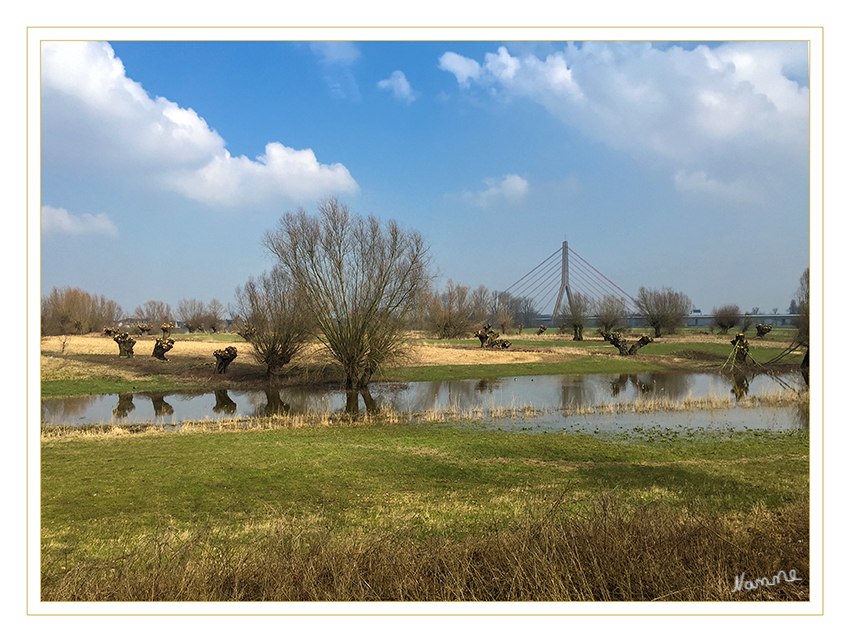 Gestern
Im Sonnenlicht sieht die Landschaft wunderbar aus.
Schlüsselwörter: Rhein, Grimlinghausen, Naturschutzgebiet