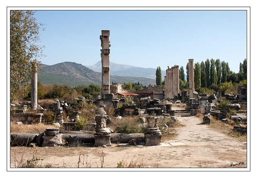 Eintritt in den Aphroditentempel
Als das wohl wichtigste Gebäude in Aphrodisias kann der Aphroditentempel bezeichnet werden.
Im 5. Jahrhundert n. Chr. wurde der Tempel mit der Verchristlichung der Stadt zu einer großen Kirche umgebaut. Im 11. Jahrhundert zerstörte dann ein Erdbeben den ehemligen Aphroditentempel, der jedoch bis zu diesem Zeitpunkt genutzt wurde.
Schlüsselwörter: Türkei Aphrodisias