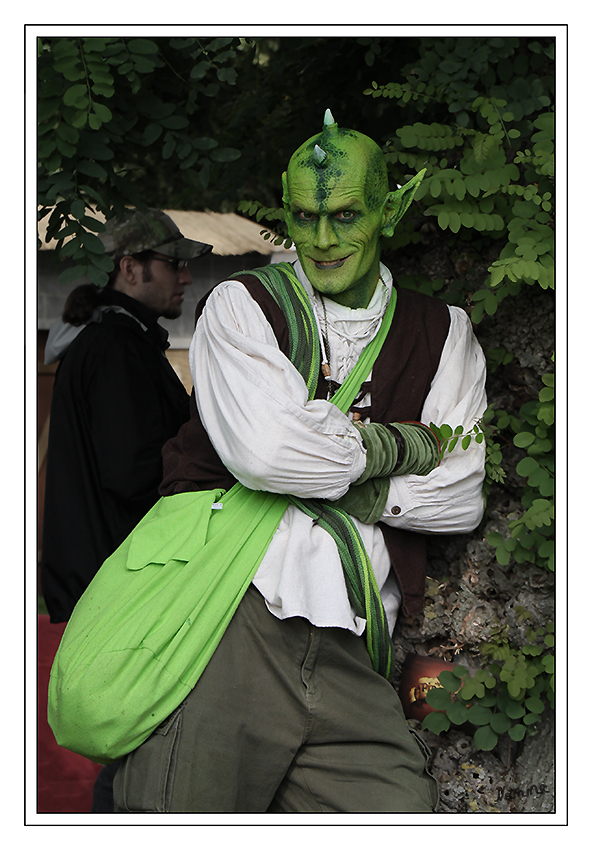 Grün
Schlüsselwörter: Arcen                Elf Fantasy Fair