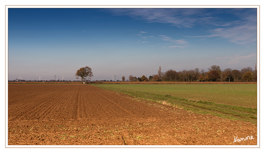 Gestern
auch dies kann November sein.
Hammerfarben bei Sonnenschein und angenehmen Temperaturen.
Schlüsselwörter: Feld Feldweg Baum