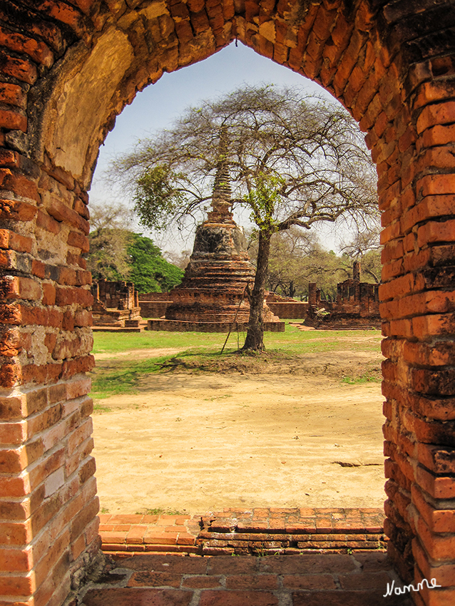 Ayutthaya - Geschichtspark
Schlüsselwörter: Thailand Ayutthaya Wat Phra Si Sanphet Geschichtspark