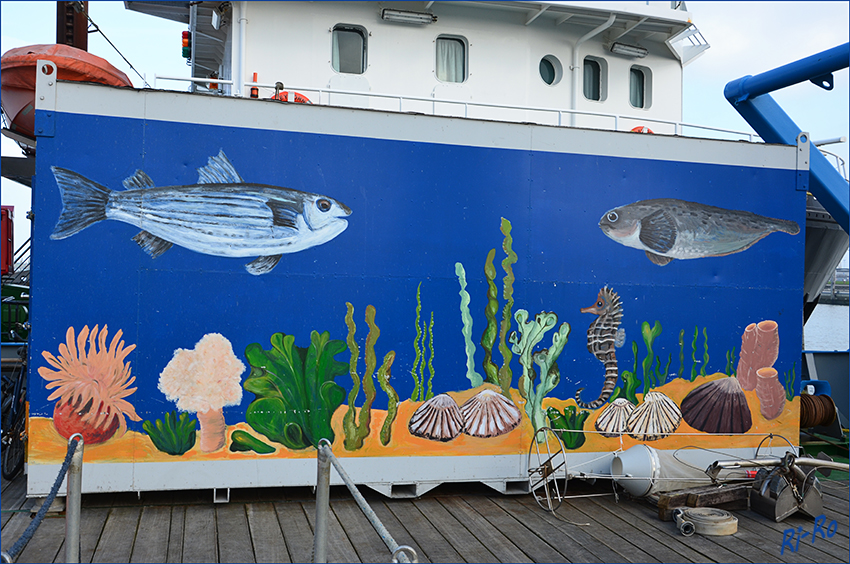 Container
auf dem Schiff BURCHANA NODERNEY  z.Zt. Norddeich
Schlüsselwörter: Container