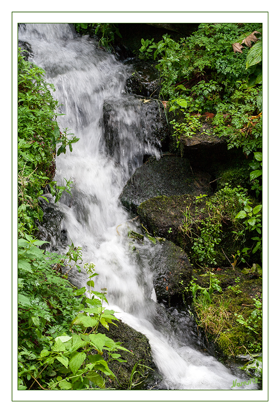 Nur ein Bach
