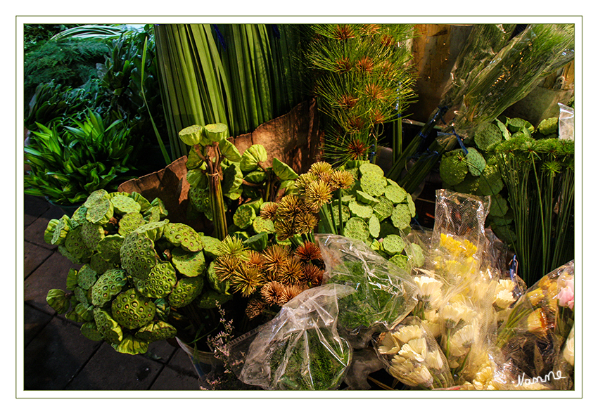 Bangkok - Blumenmarkt
In der Nacht wird angeliefert, frisch aus den Gärtnereien.
Schlüsselwörter: Thailand Bangkok Blumenmarkt Pak Klong Talat
