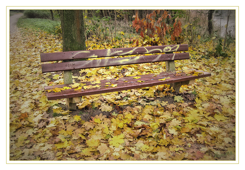 Herbstliche Einsamkeit
Schlüsselwörter: Bank