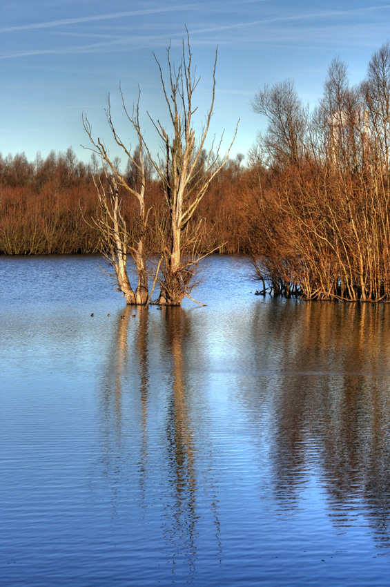 Kalt und sonnig
war es in Walsum
Schlüsselwörter: Walsum    Duisburg      Baum    Spiegelung