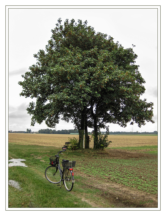 Mach mal (Regen) Pause
Radtour über die Felder
