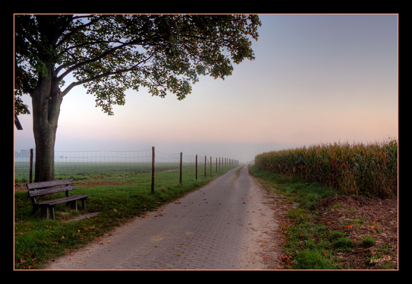 Morgens
bei uns auf dem Dorf
