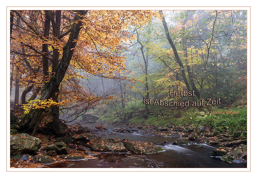 Herbst
Schlüsselwörter: Herbst