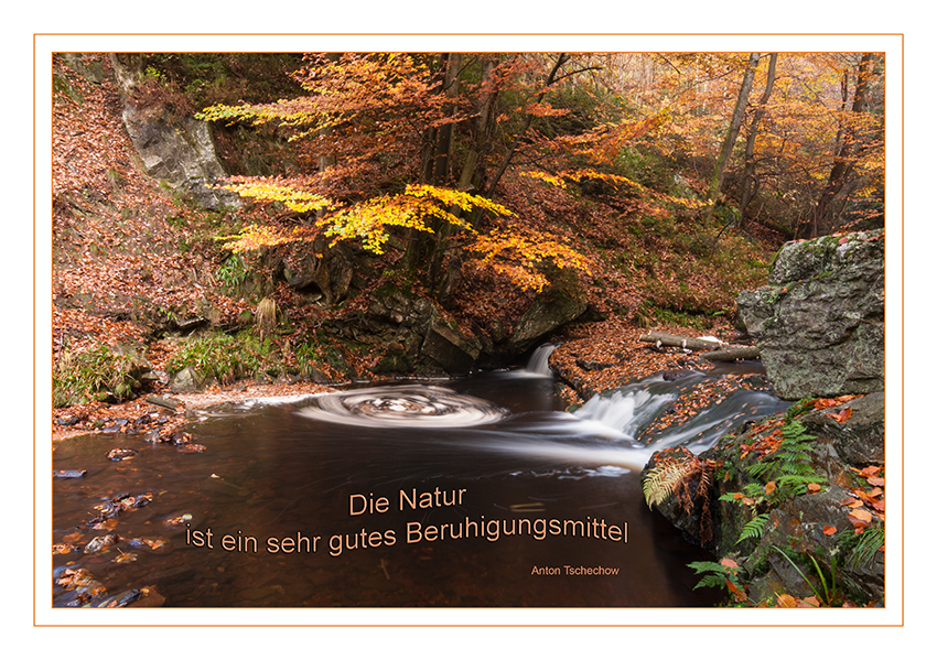 Immer mit der Ruhe
Schlüsselwörter: Herbst