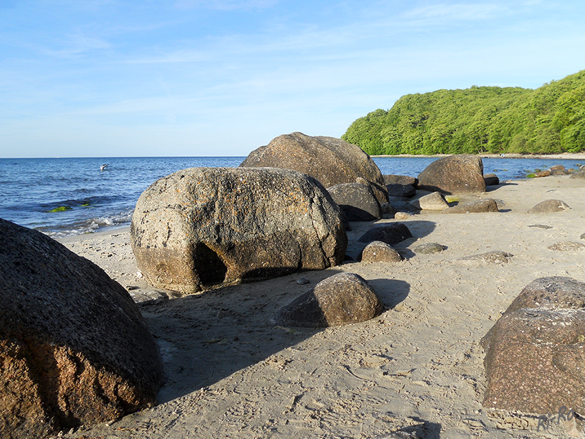 Findlinge
am Strand von Binz
Schlüsselwörter: Rügen, Binz, Strand