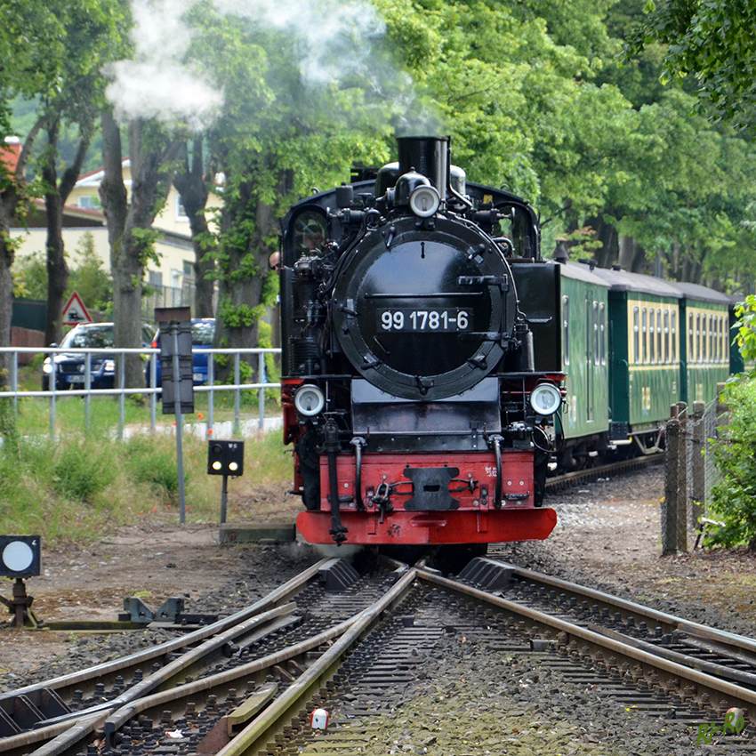 Die Weichen sind gestellt
Bahnhof Binz
Schlüsselwörter: Rügen, Binz, Rasender Roland