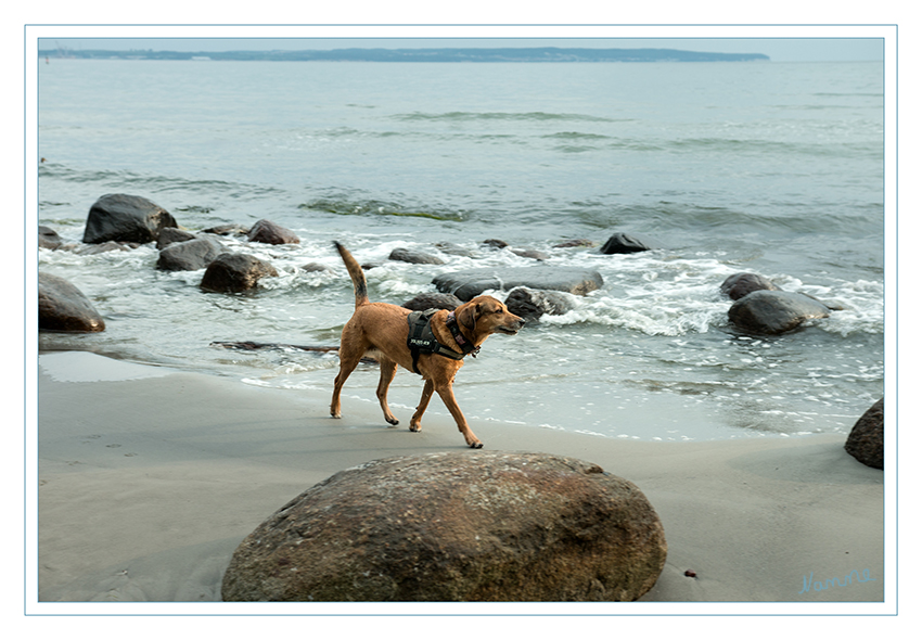 Strandimpressionen
Schlüsselwörter: Rügen, Binz, Strand