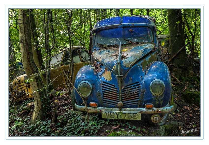 Blau
Noch ein Auto aus dem Autoskulpturenpark im Neandertal
Schlüsselwörter: Auto Autoskulpturenpark Neandertal