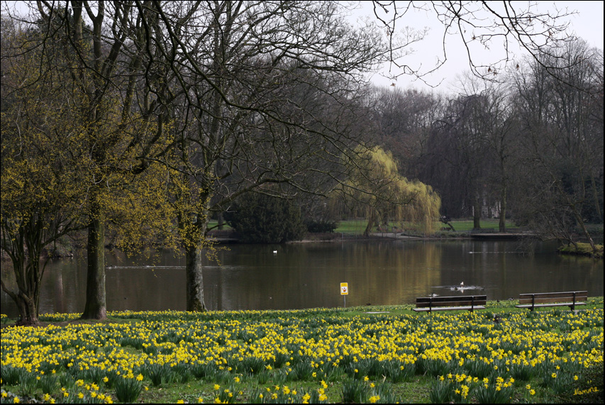 Blick auf den Weiher im Stadtgarten
Der Frühling kommt langsam aber sicher
Schlüsselwörter: Stadtgarten   