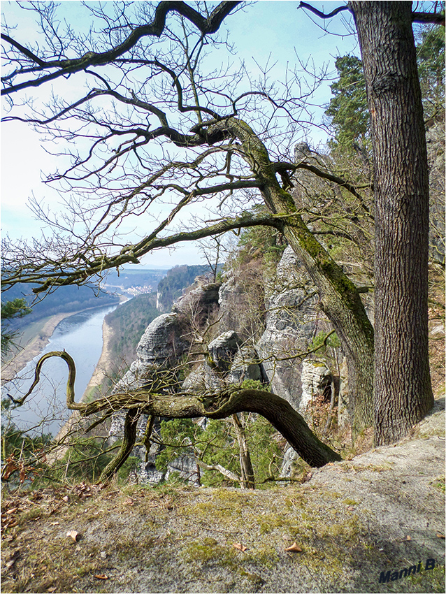 Ausblick
von der Felsenburg Neurathen auf die Elbe
Schlüsselwörter: Sächsische Schweiz Neurathener Felsenburg Elbe