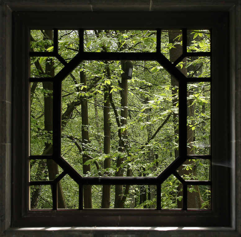 Das Fenster zum Frühling
Schlüsselwörter: Bochum