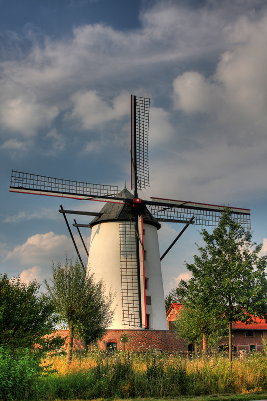 Braunsmühle
Graf August Bernhard von Dyck ließ die Mühle 1756 nach holländischem Vorbild in Stein errichten.
Der letzte "Windmüller" war Wilhelm Braun.
Die Mühle wurde von 2002 bis 2005 komplett restauriert und hat heute auch wieder ein funktionsfähiges Windrad mit Mahlwerk.
Schlüsselwörter: Braunsmühle    Kaarst     Büttgen