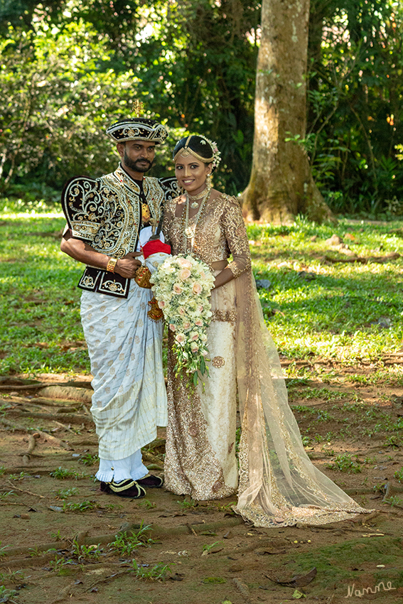 19 - Brautpaar
in traditioneller Kleidung auf Sri Lanka
Schlüsselwörter: Sri Lanka, Botanischer Garten