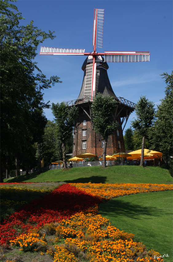 Windmühle am Wall
In den Wallanlagen steht eine über 100 Jahre alte Mühle, die Sie besichtigen können. In der Mühle befindet sich auch ein Restaurant.
Schlüsselwörter: Bremen     Windmühle      Wallanlagen