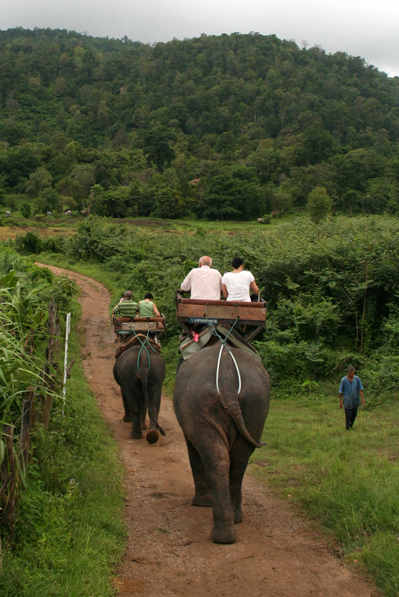 Ritt durch den Dschungel
Schlüsselwörter: Thailand