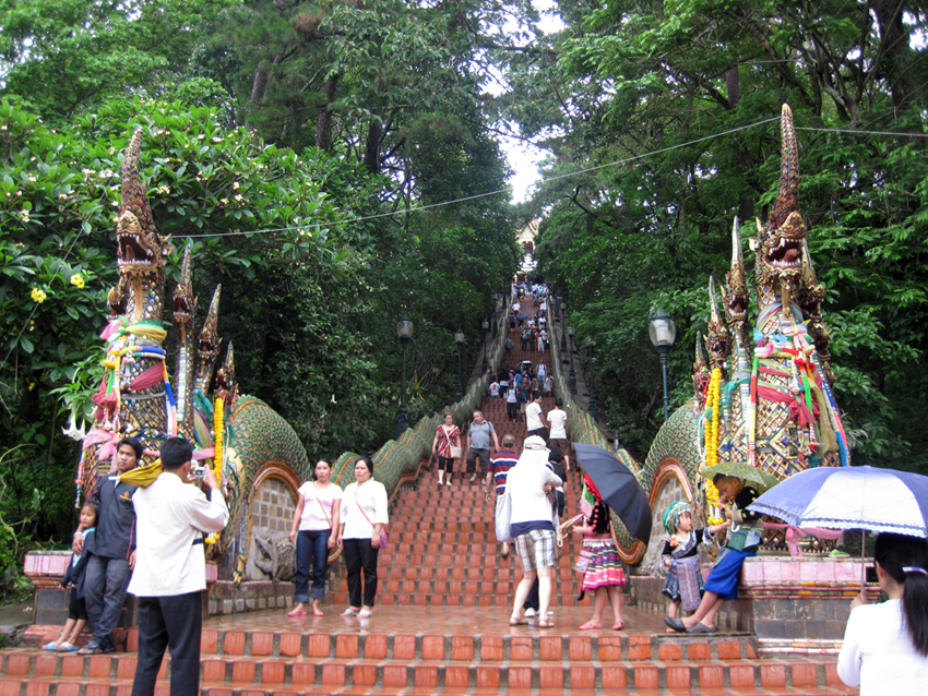 Wat Phra That Doi Suthep
ist der wichtigste Tempel im Norden Thailands.
Vor Ort müssen noch die 290 Treppen zwischen zwei riesigen mehrköpfigen  Nagaschlangen erklommen werden.
Eine alte Legende  rankt sich um diesen Wat.
Die Herrscher schickten einen Elefanten mit einer Reliquie auf dem Rücken los, um einen angemessenen Ort für das Heiligtum zu finden.
Dort wo sich der Elefant sich schliesslich zur Ruhe legte und starb wurde ein Chedi über der Reliquie erbaut.
Schlüsselwörter: Thailand